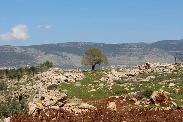 מסביב למדורה מסלולי טיול בגליל