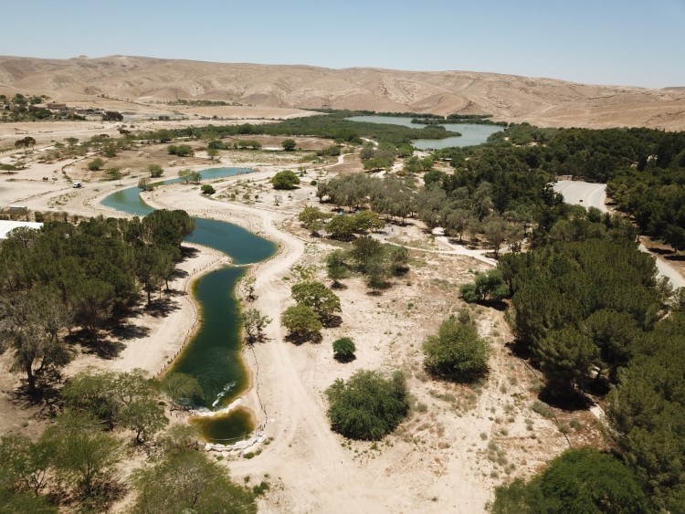 אוהלים מונגוליים בגולן