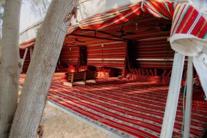 חאן פאוזה קדש ברנע