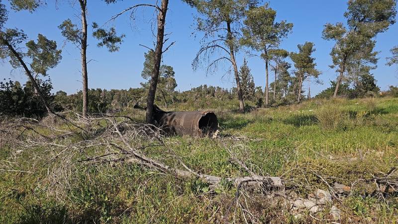 שאגת הארי סגירת יערות קקל