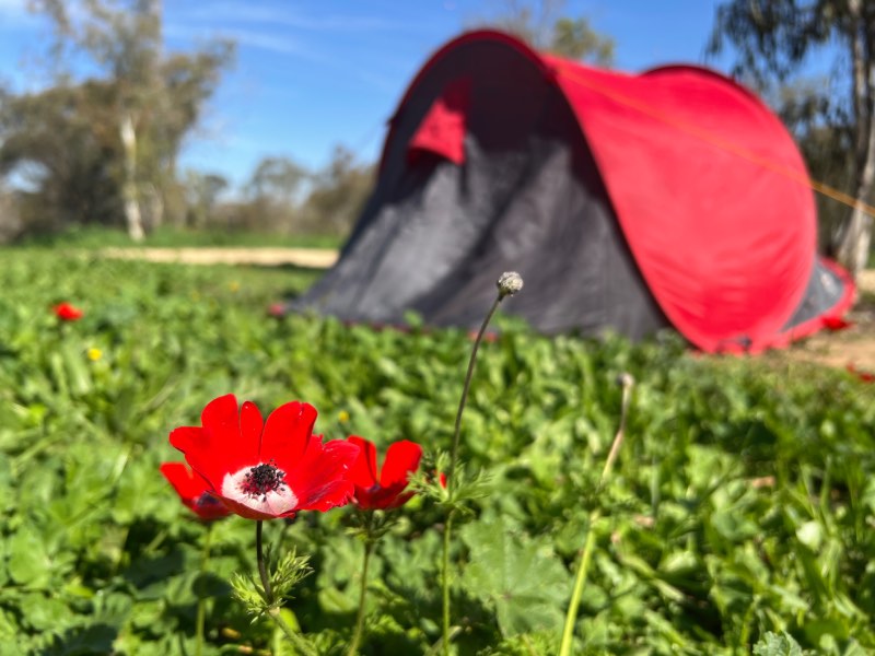 קמפינג בפסח, קקל, חניון יער ניר משה