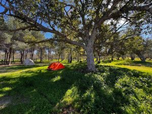 חניון לילה ניר משה, קמפינג בחינם