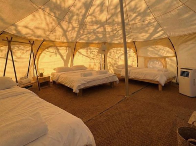 אוהלי הלוטוס הממוזגים בשיטים