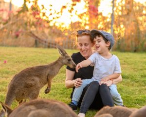 הגן גורו בעמק המעיינות