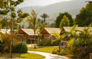 גלמפינג לילה עמק המעיינות