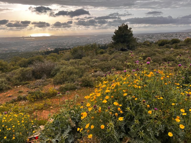 שביל בית הכרם תצפית יקב פלך