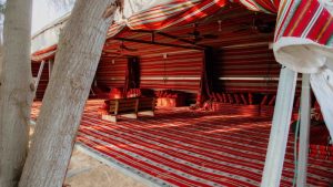 חאן פאוזה קדש ברנע