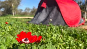 קמפינג בפסח, קקל, חניון יער ניר משה