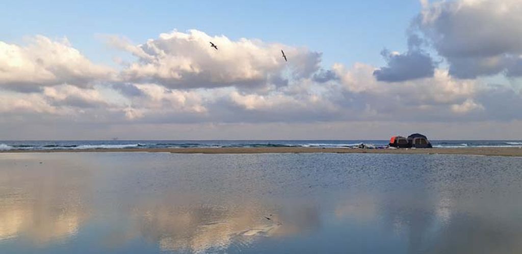 קמפינג חוף מעיין צבי: קמפינג בחינם על הים